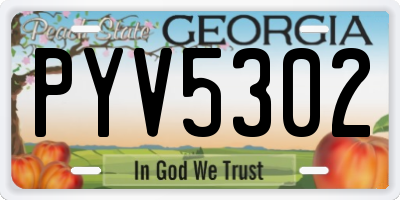 GA license plate PYV5302