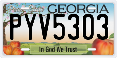 GA license plate PYV5303
