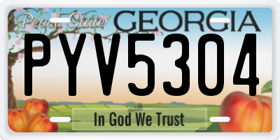 GA license plate PYV5304
