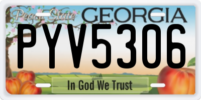 GA license plate PYV5306
