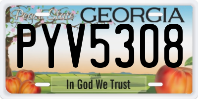 GA license plate PYV5308