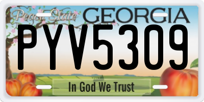 GA license plate PYV5309