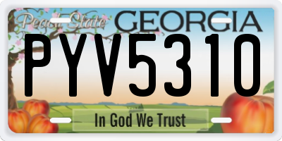 GA license plate PYV5310