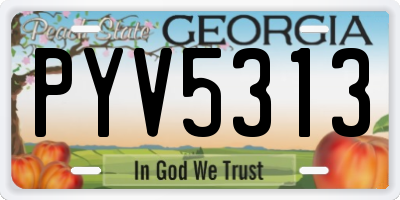 GA license plate PYV5313