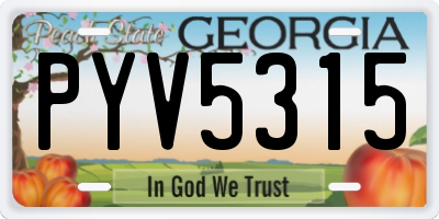 GA license plate PYV5315