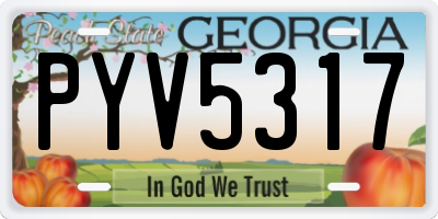 GA license plate PYV5317