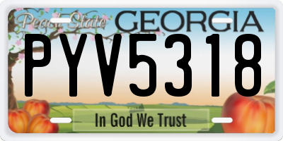 GA license plate PYV5318