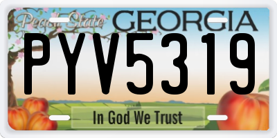 GA license plate PYV5319