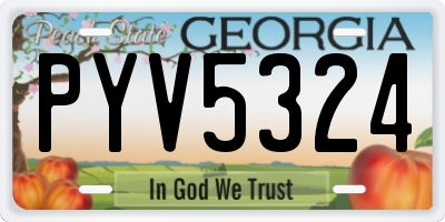 GA license plate PYV5324