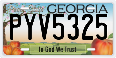 GA license plate PYV5325