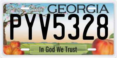 GA license plate PYV5328