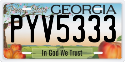 GA license plate PYV5333