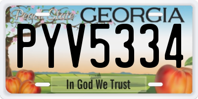 GA license plate PYV5334