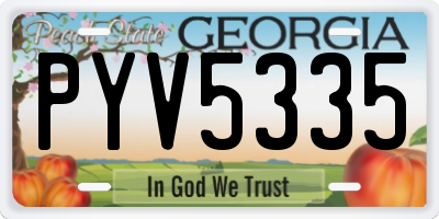 GA license plate PYV5335