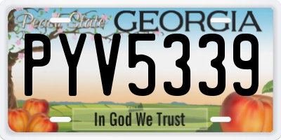 GA license plate PYV5339