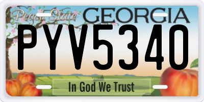 GA license plate PYV5340