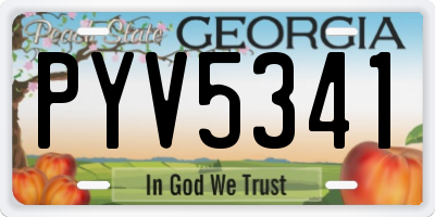 GA license plate PYV5341