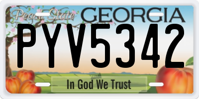 GA license plate PYV5342