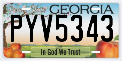 GA license plate PYV5343