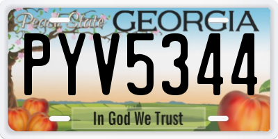 GA license plate PYV5344