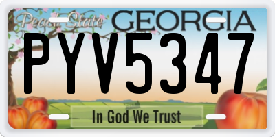 GA license plate PYV5347