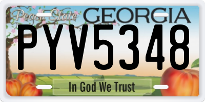 GA license plate PYV5348