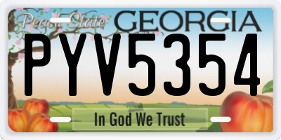 GA license plate PYV5354