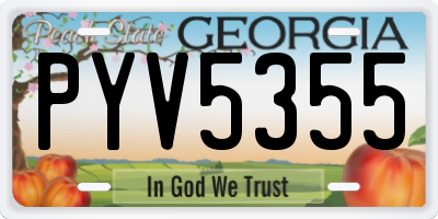 GA license plate PYV5355