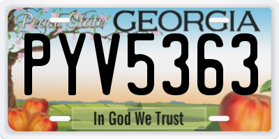 GA license plate PYV5363