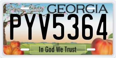 GA license plate PYV5364
