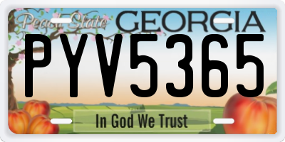GA license plate PYV5365
