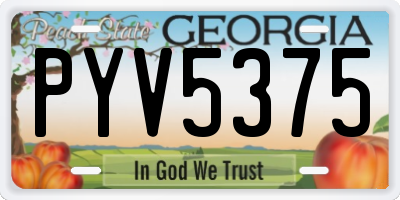 GA license plate PYV5375