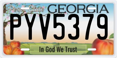 GA license plate PYV5379