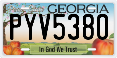 GA license plate PYV5380