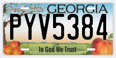 GA license plate PYV5384