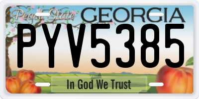 GA license plate PYV5385