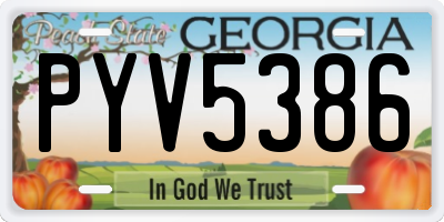 GA license plate PYV5386