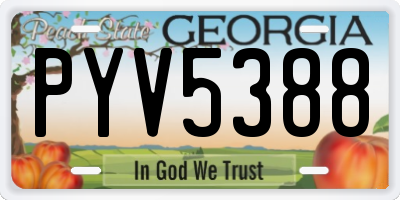 GA license plate PYV5388