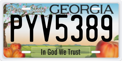 GA license plate PYV5389