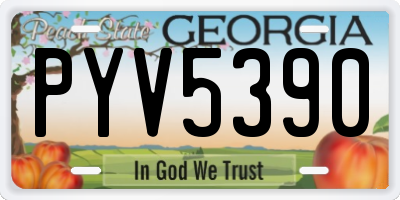 GA license plate PYV5390
