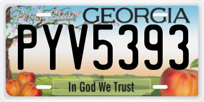 GA license plate PYV5393
