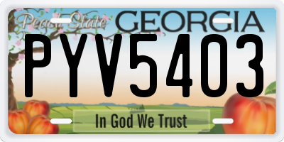 GA license plate PYV5403