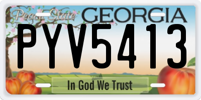 GA license plate PYV5413