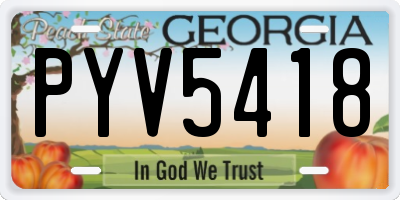 GA license plate PYV5418