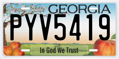 GA license plate PYV5419