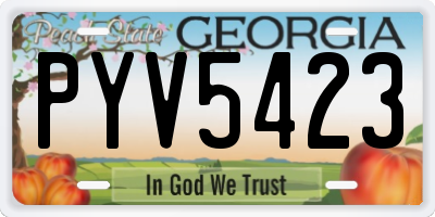 GA license plate PYV5423