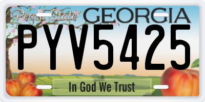 GA license plate PYV5425