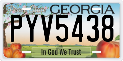 GA license plate PYV5438