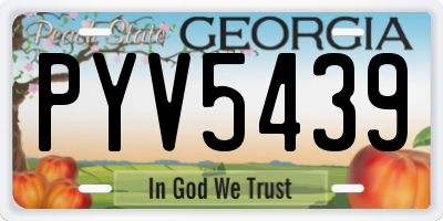 GA license plate PYV5439