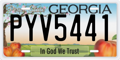 GA license plate PYV5441